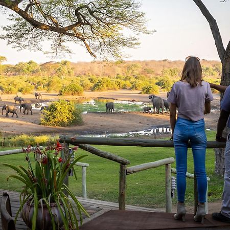 Elephant Valley Lodge Lesoma Esterno foto