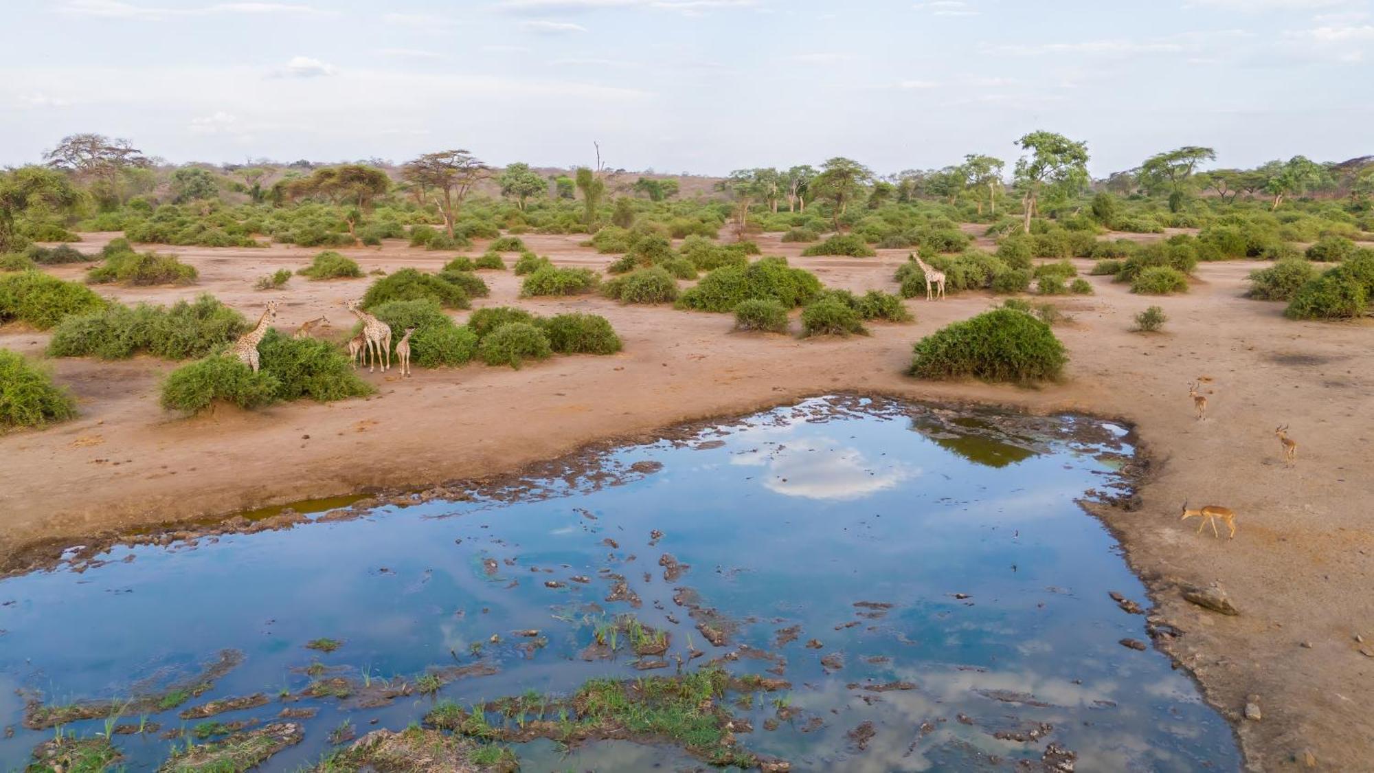 Elephant Valley Lodge Lesoma Esterno foto