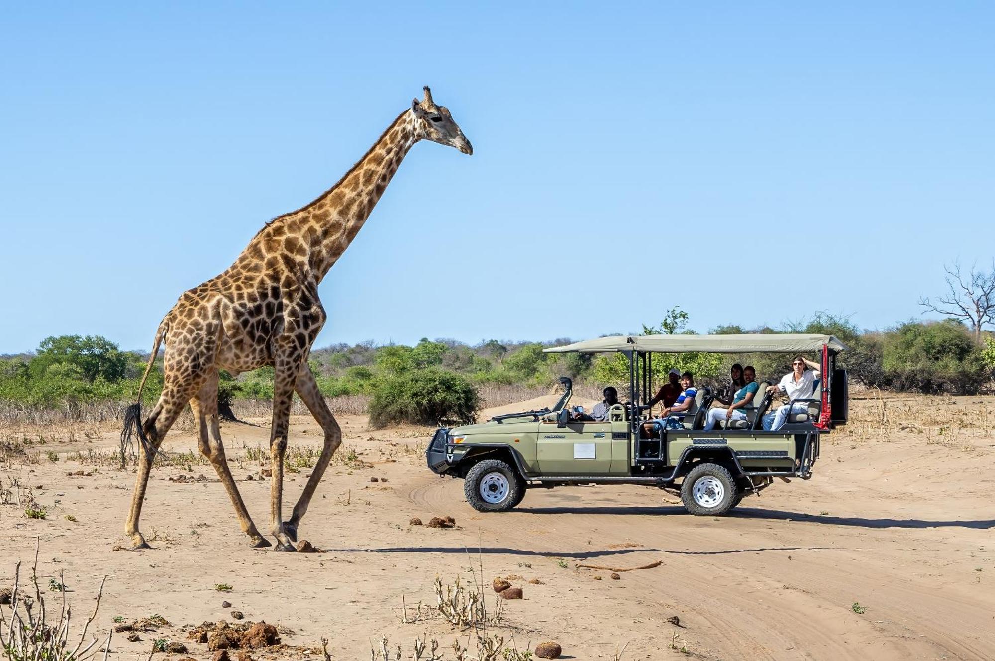 Elephant Valley Lodge Lesoma Esterno foto