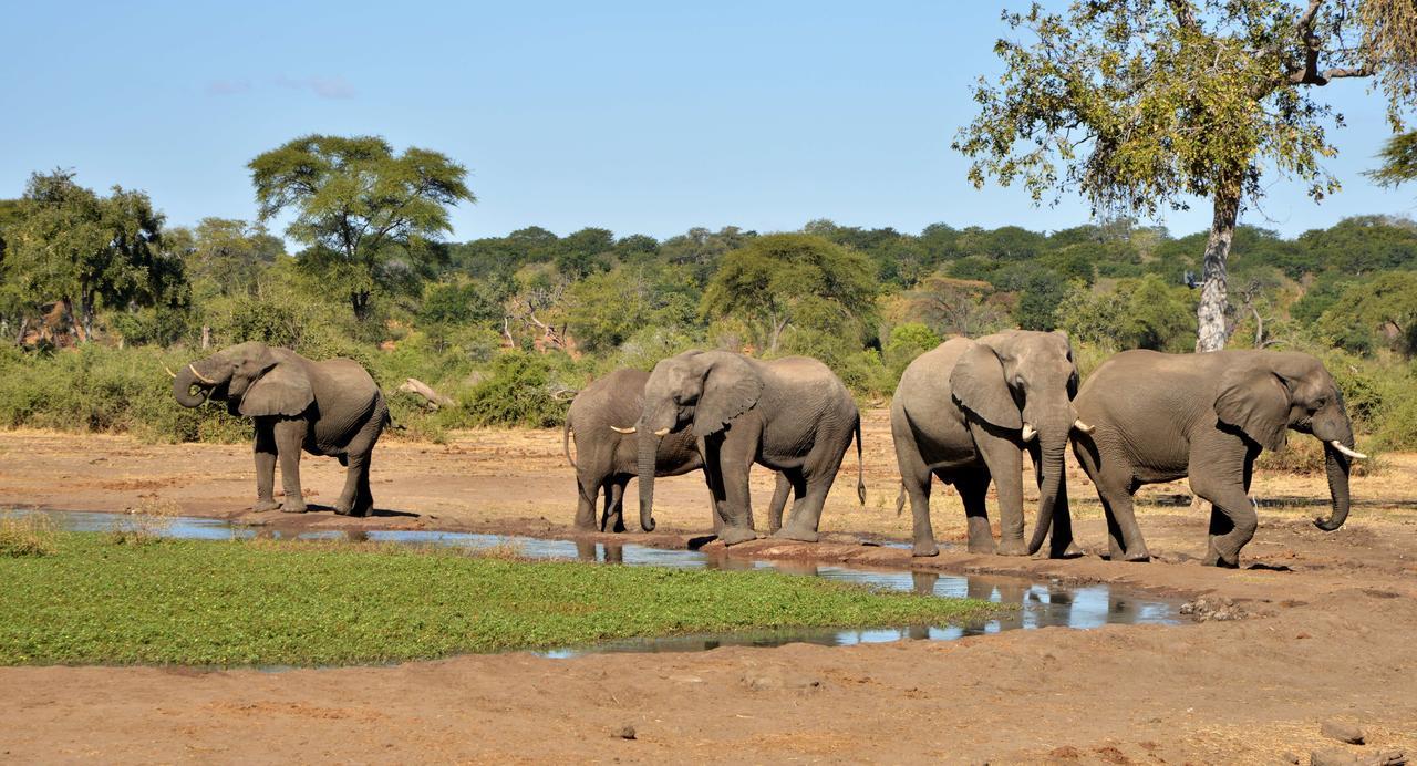 Elephant Valley Lodge Lesoma Esterno foto