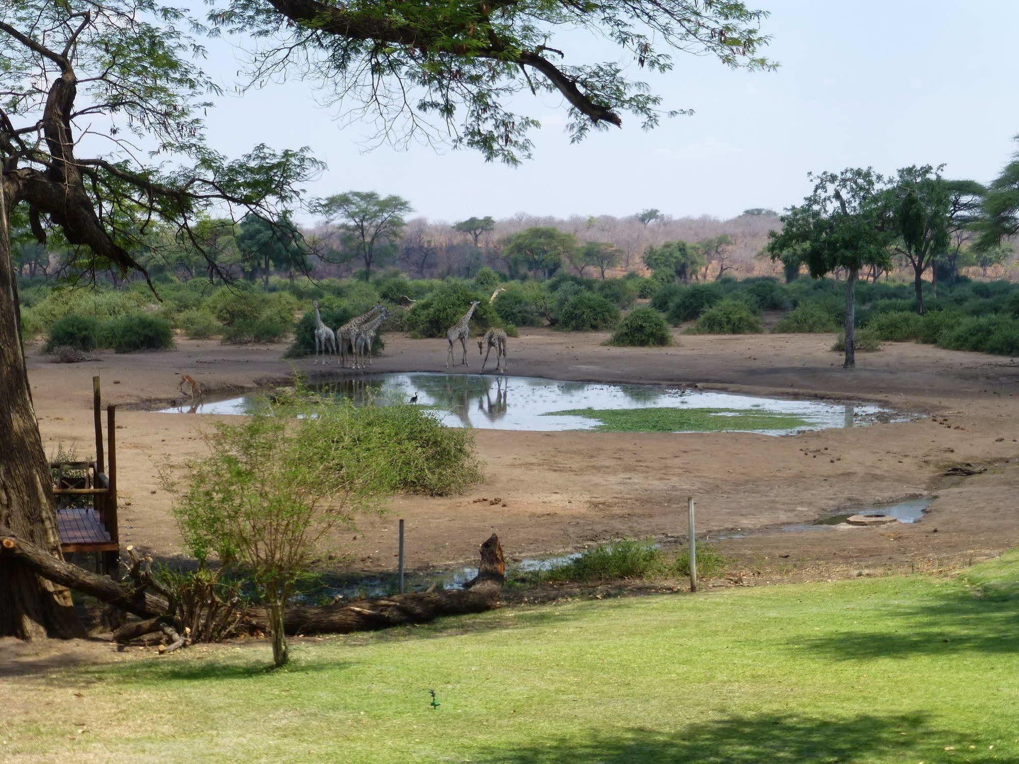 Elephant Valley Lodge Lesoma Esterno foto